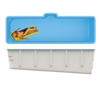 SwimTrack 61