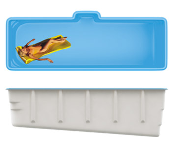 SwimTrack 56